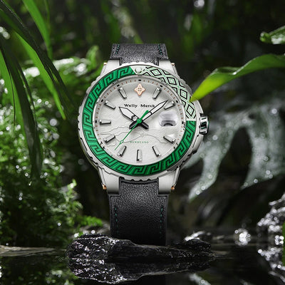 Luxury watche for men automatic Wristwatches - Watches & Accessories